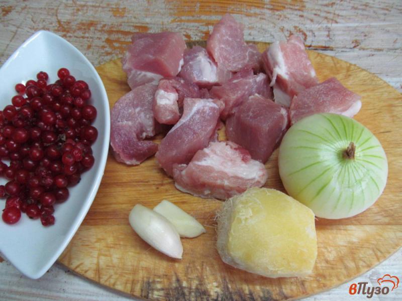 Фото приготовление рецепта: Свинина тушеная с красной смородиной шаг №1