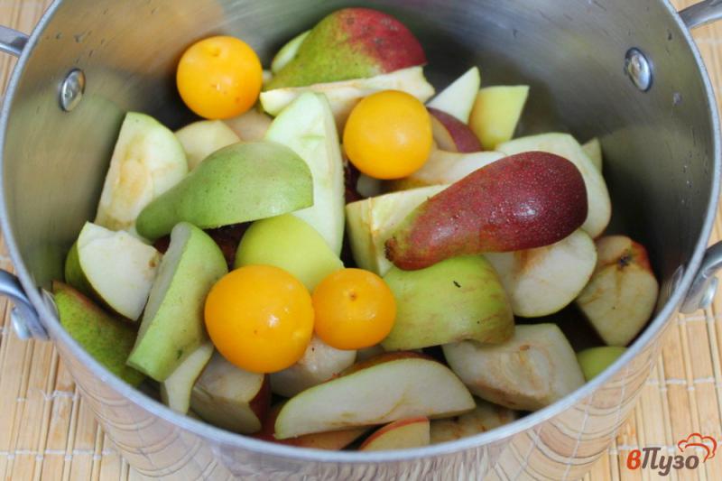 Фото приготовление рецепта: Компот фруктовое ассорти с мятой шаг №3
