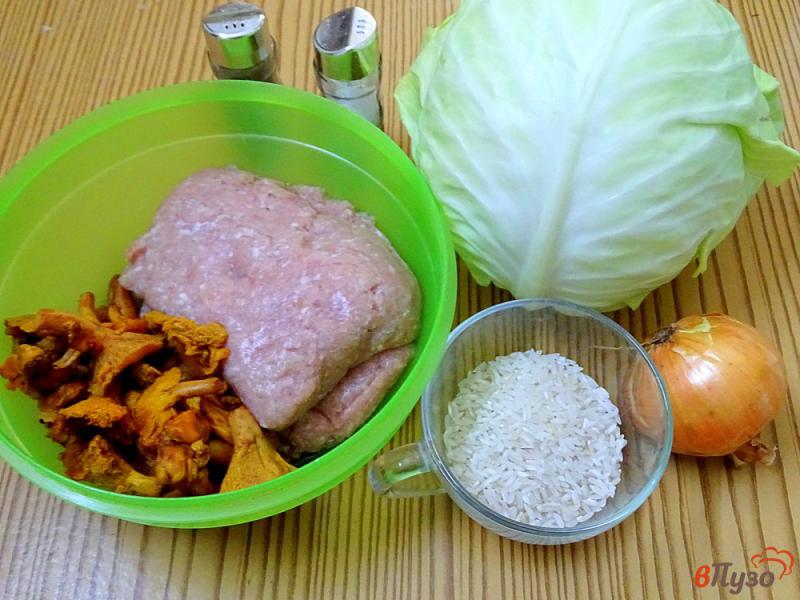 Фото приготовление рецепта: Гоубцы с фаршем, рисом и лисичками шаг №1