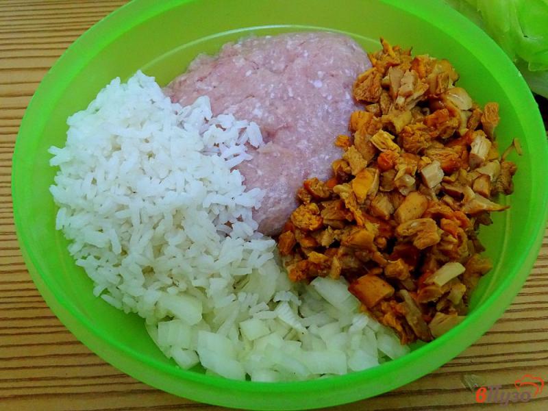 Фото приготовление рецепта: Гоубцы с фаршем, рисом и лисичками шаг №4