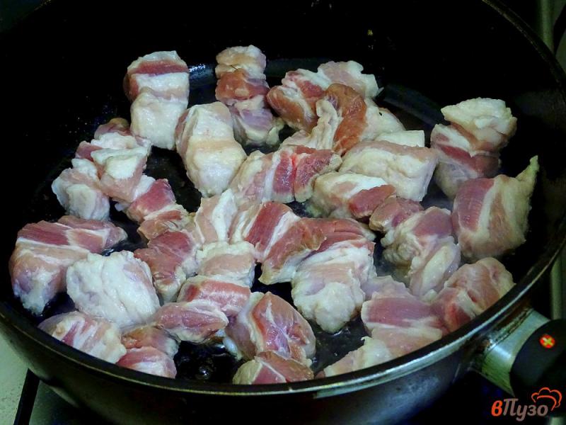 Фото приготовление рецепта: Капуста тушёная со свининой и помидорами шаг №3