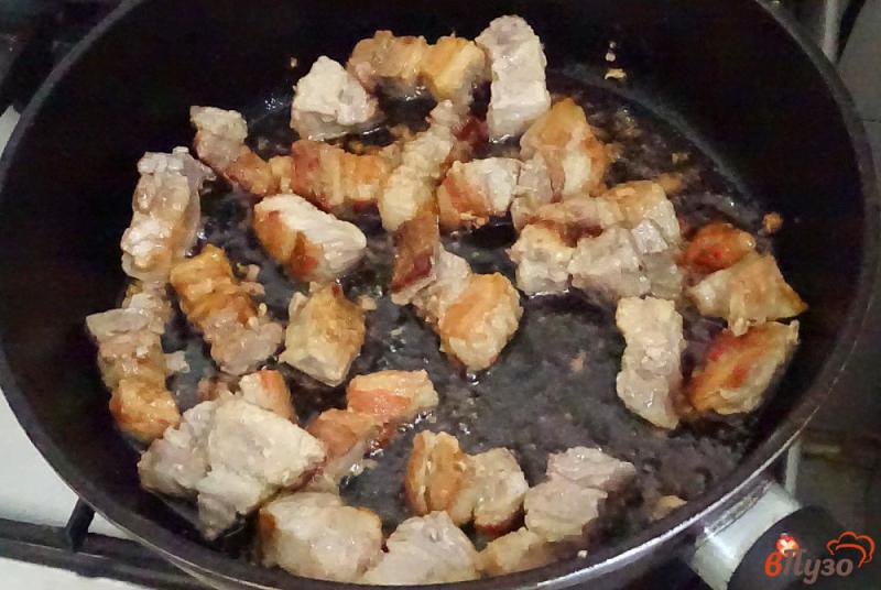 Фото приготовление рецепта: Капуста тушёная со свининой и помидорами шаг №4