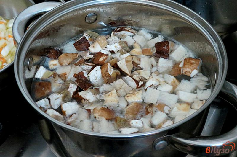 Фото приготовление рецепта: Суп с белыми грибами и цветной капустой шаг №5