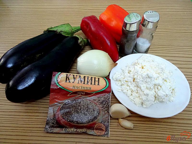 Фото приготовление рецепта: Икра из баклажанов, перца и творога шаг №1