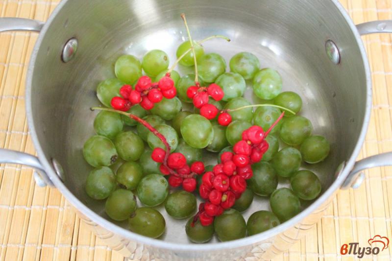 Фото приготовление рецепта: Компот из винограда и малины с мелиссой и лимонником шаг №2