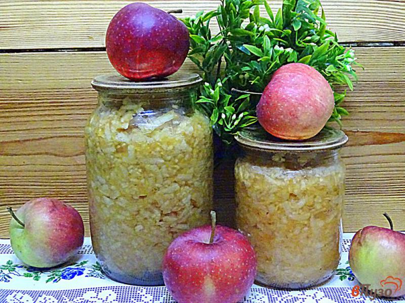 Фото приготовление рецепта: Яблочная начинка без сахара (на зиму) шаг №7