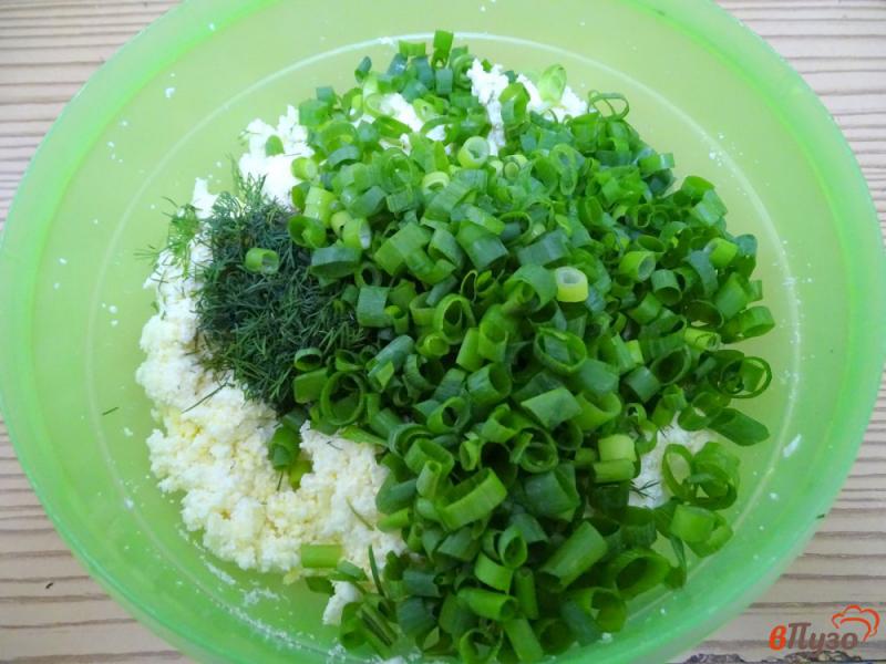 Фото приготовление рецепта: Сырники с зелёным луком шаг №5