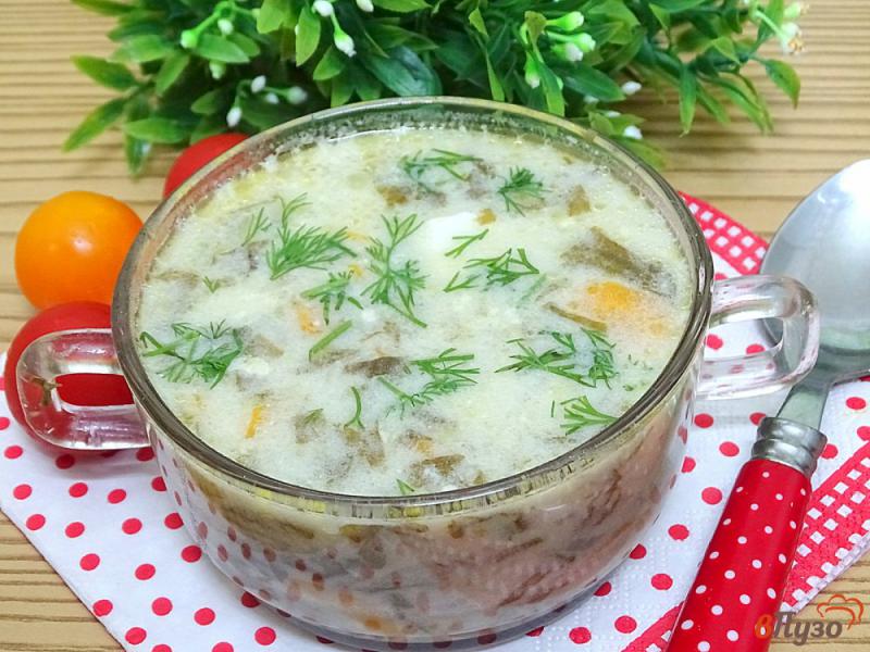 Фото приготовление рецепта: Суп со щавелем и капустой шаг №11