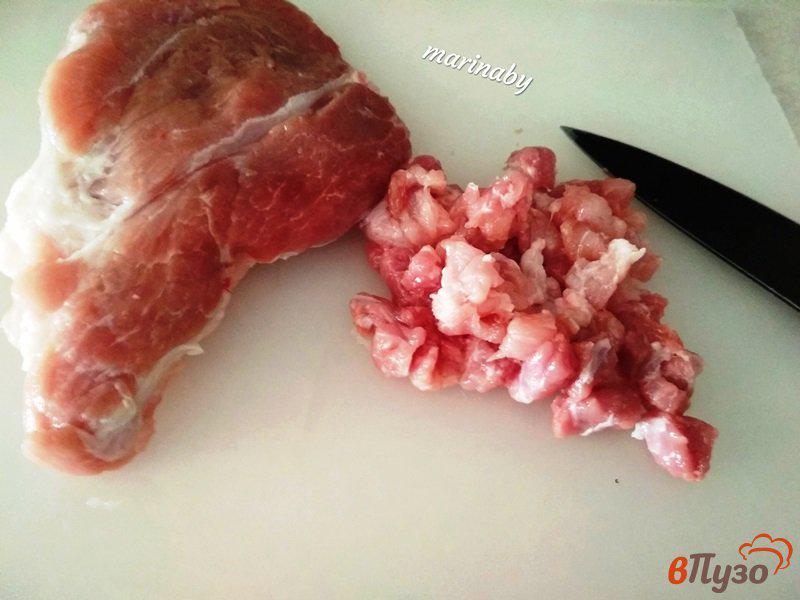 Фото приготовление рецепта: Котлеты рубленные из свинины и курицы шаг №1