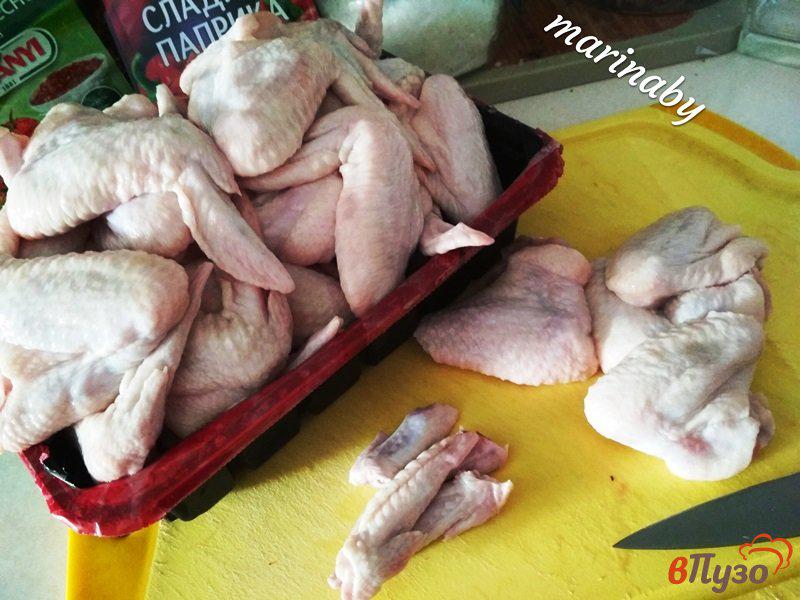 Фото приготовление рецепта: Куриные крылья в паприке шаг №1