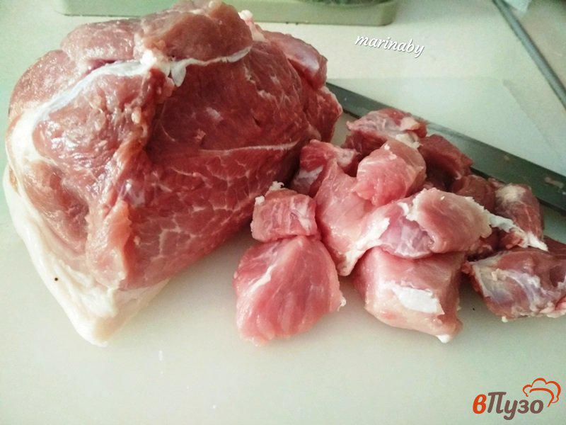 Фото приготовление рецепта: Плов со свининой и овщами шаг №1