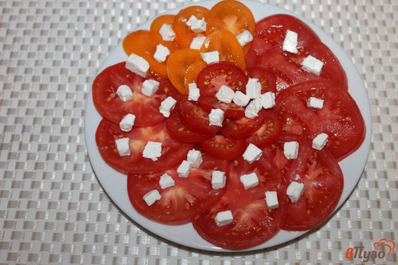 Фото приготовление рецепта: Закуска из томатов и феты шаг №3