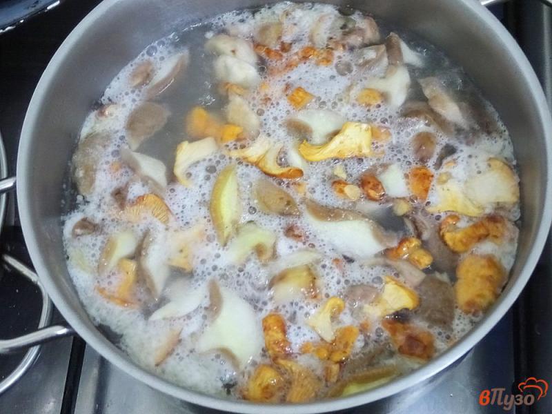 Фото приготовление рецепта: Овощной суп с маслятами и лисичками шаг №3