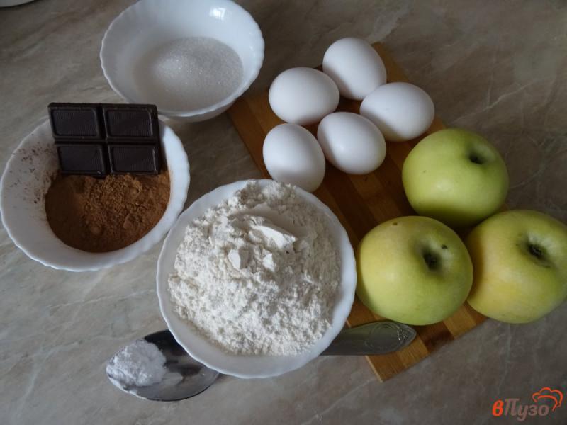 Фото приготовление рецепта: Шоколадная шарлотка с яблоками шаг №1