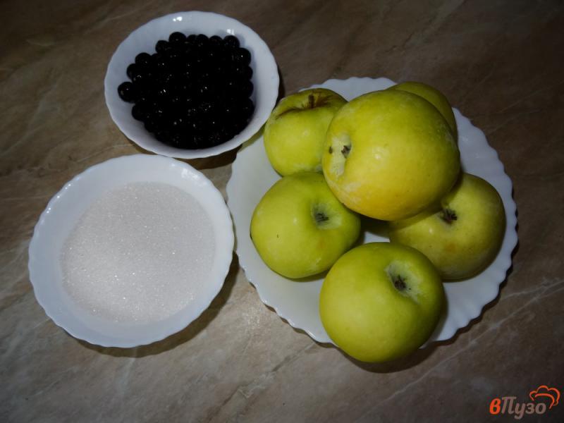 Фото приготовление рецепта: Компот из яблок и черноплодной рябины шаг №1