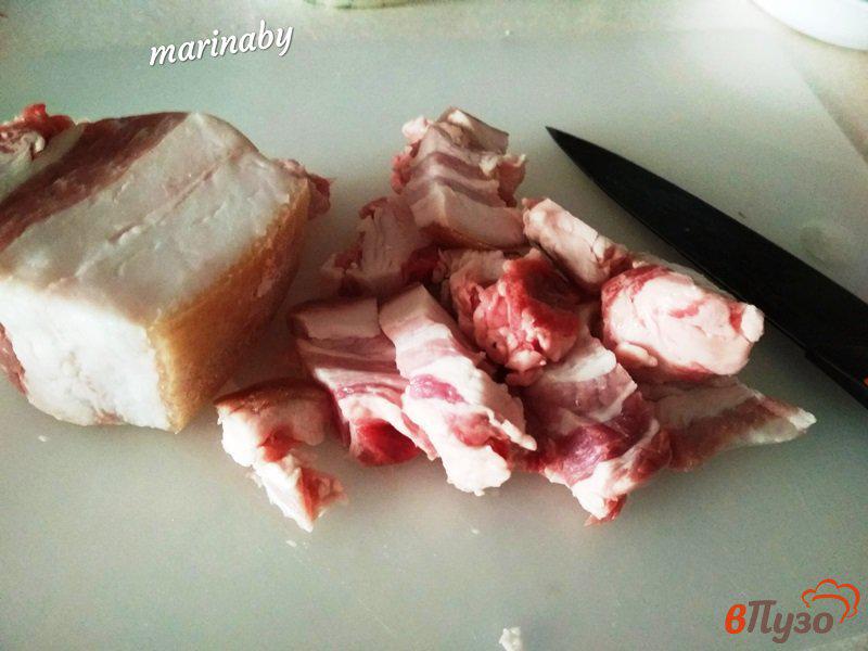 Фото приготовление рецепта: Поджарка из свинины с зеленым луком и молодым картофелем шаг №1