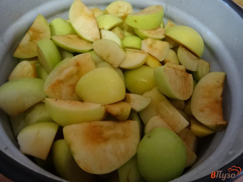 Фото приготовление рецепта: Нежное пюре из яблок шаг №2