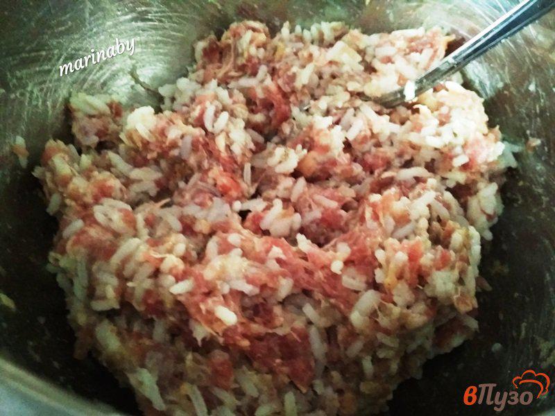 Фото приготовление рецепта: Болгарский перец фаршированный мясом и рисом шаг №4