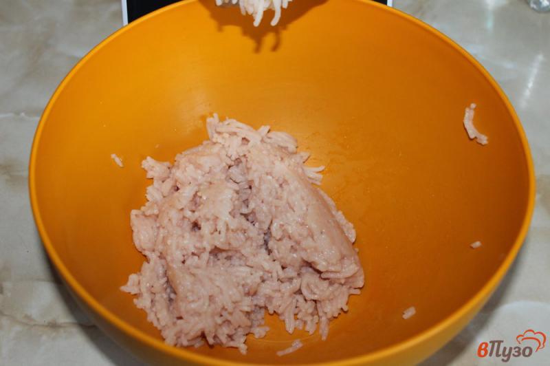 Фото приготовление рецепта: Котлеты из куриного филе с грибами и морковью под сыром и помидорами в духовке шаг №1