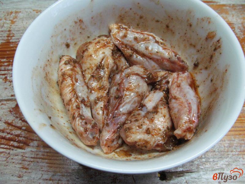 Фото приготовление рецепта: Шашлык из куриных крыльев шаг №2