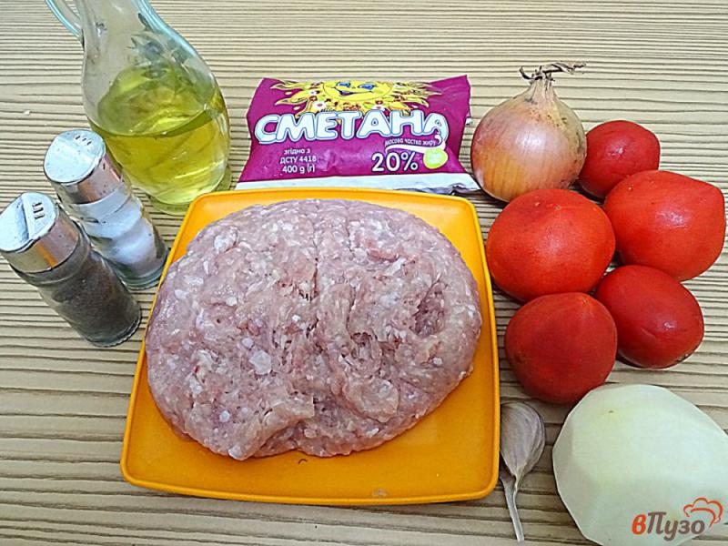 Фото приготовление рецепта: Куриные котлеты в томатном соусе шаг №1