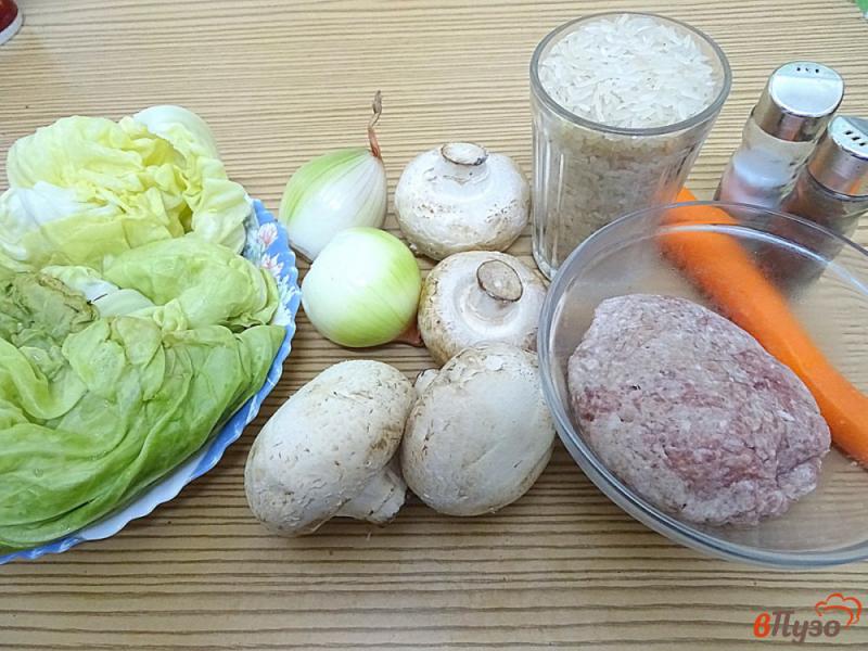 Фото приготовление рецепта: Голубцы из молодой капусты с фаршем, грибами, и рисом шаг №1