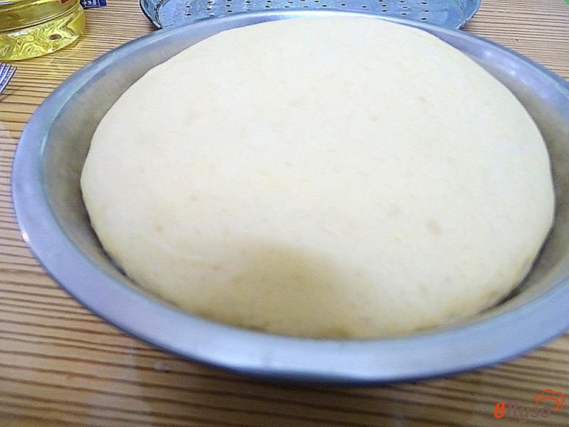 Фото приготовление рецепта: Тесто для пиццы и основа для него (можно замораживать) шаг №9