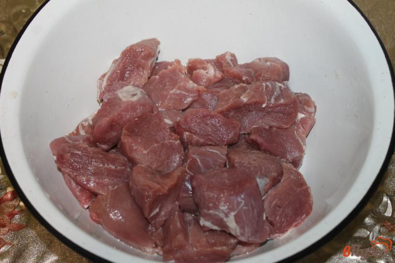 Фото приготовление рецепта: Шашлык из свиной вырезки маринованной в Айране с укропом шаг №2