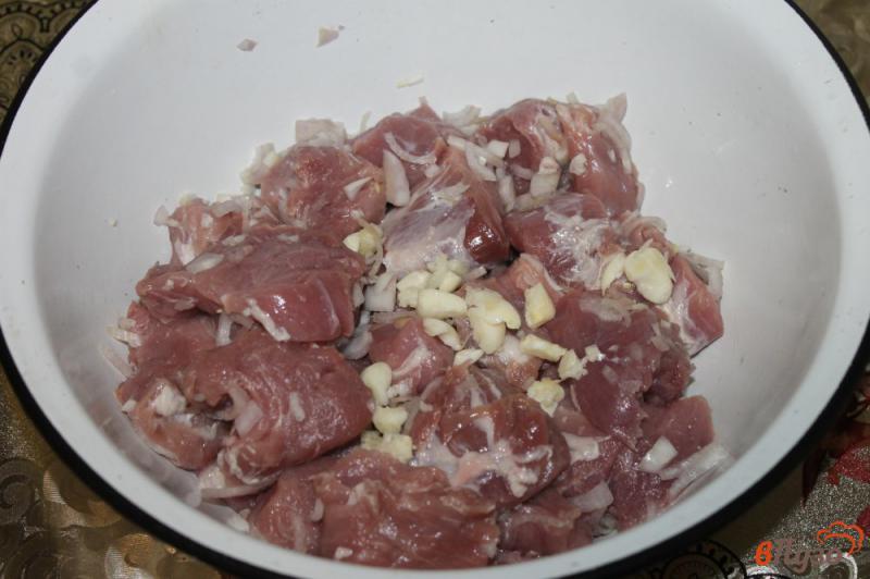 Фото приготовление рецепта: Шашлык из свиной вырезки маринованной в Айране с укропом шаг №3