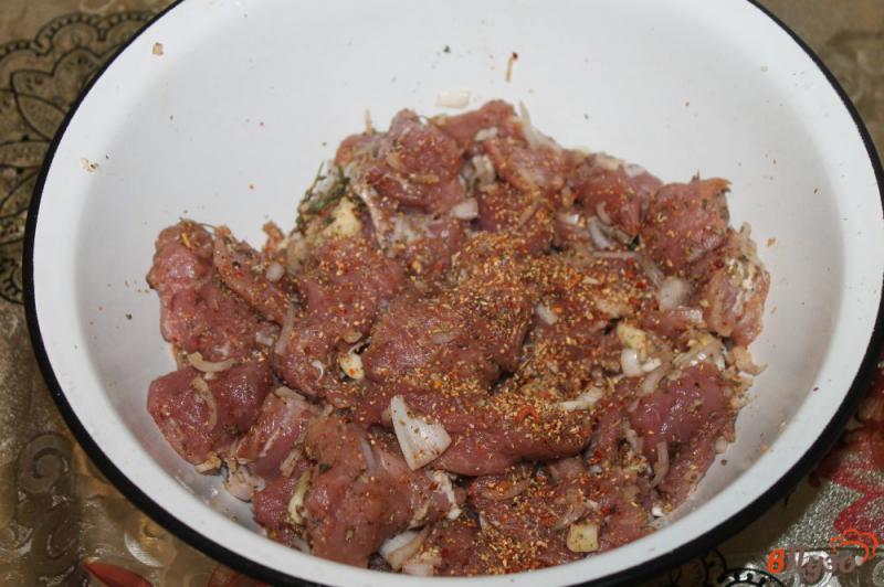 Фото приготовление рецепта: Шашлык из свиной вырезки маринованной в Айране с укропом шаг №5