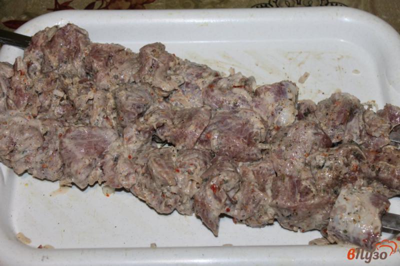 Фото приготовление рецепта: Шашлык из свиной вырезки маринованной в Айране с укропом шаг №7