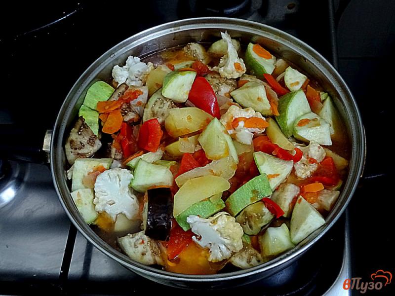 Фото приготовление рецепта: Рагу овощное летнее шаг №16