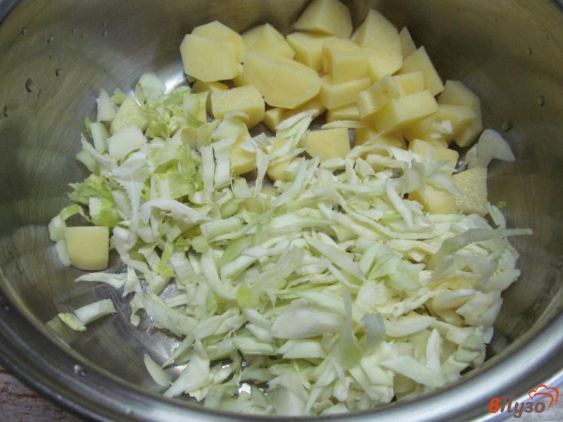 Фото приготовление рецепта: Борщ с цветной капустой и белокочанной шаг №2