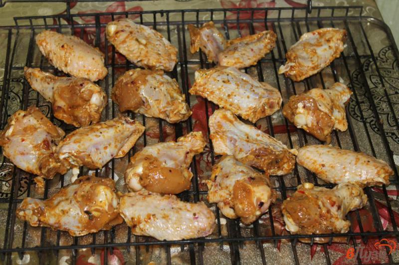Фото приготовление рецепта: Куриные крылья гриль в медово - горчичной глазури шаг №6
