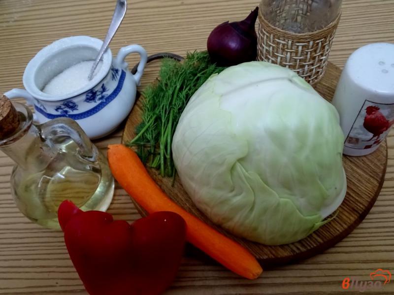 Фото приготовление рецепта: Салат из капусты с перцем, луком и морковью шаг №1