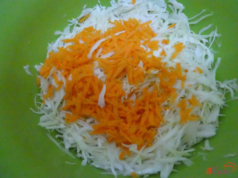 Фото приготовление рецепта: Салат из капусты с перцем, луком и морковью шаг №3