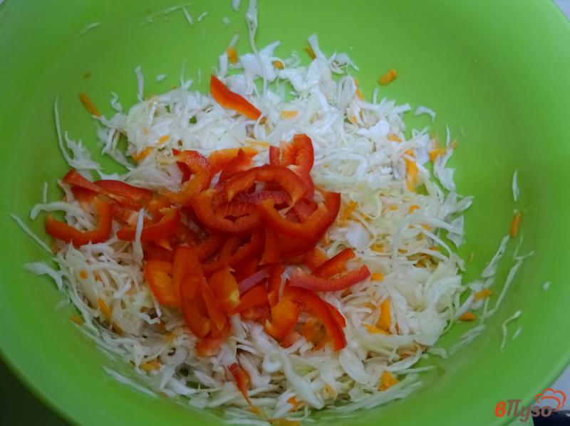 Фото приготовление рецепта: Салат из капусты с перцем, луком и морковью шаг №5