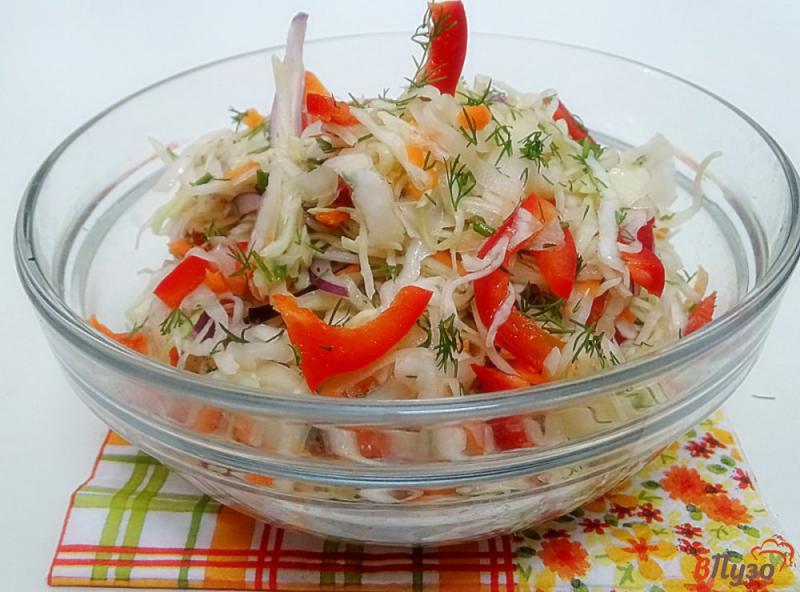 Фото приготовление рецепта: Салат из капусты с перцем, луком и морковью шаг №6