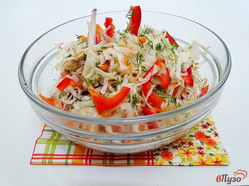 Фото приготовление рецепта: Салат из капусты с перцем, луком и морковью шаг №7