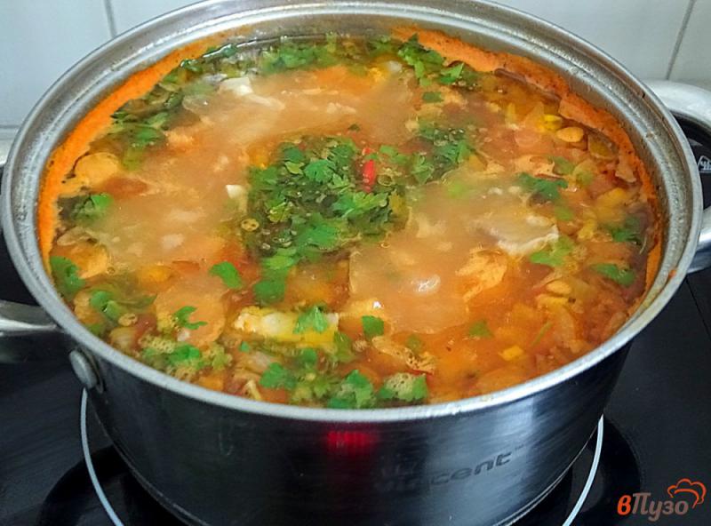 Фото приготовление рецепта: Суп со свининой и рисом шаг №9