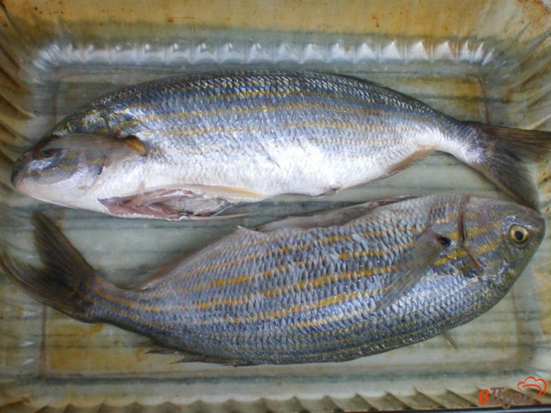 Фото приготовление рецепта: Рыба сарпа под чесночно-лимонным соусом шаг №1