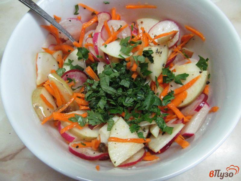 Фото приготовление рецепта: Салат из моркови редиса и изюма шаг №5