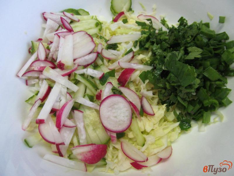 Фото приготовление рецепта: Салат из капусты с редисом шаг №2