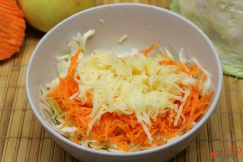 Фото приготовление рецепта: Салат из капусты и моркови с семенами льна шаг №3