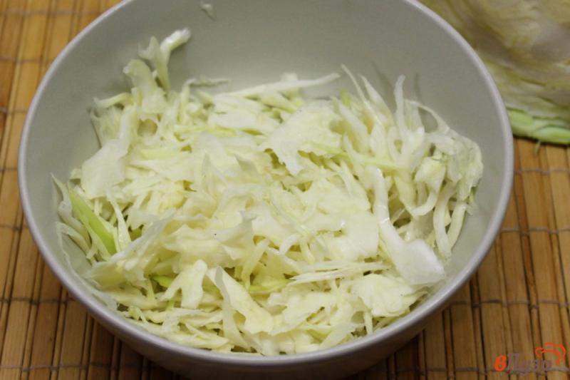 Фото приготовление рецепта: Салат из капусты и моркови с семенами льна шаг №1