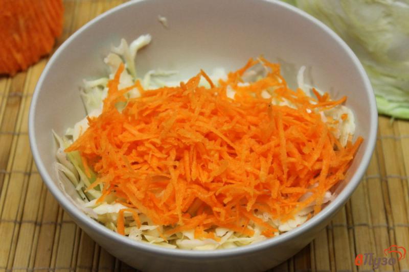 Фото приготовление рецепта: Салат из капусты и моркови с семенами льна шаг №2