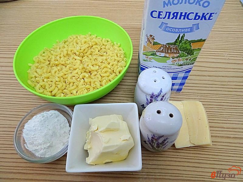 Фото приготовление рецепта: Макароны в сырном соусе шаг №1