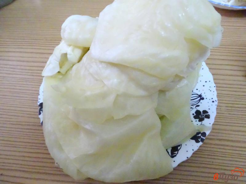 Фото приготовление рецепта: Голубцы с мясом, рисом и овощами шаг №1