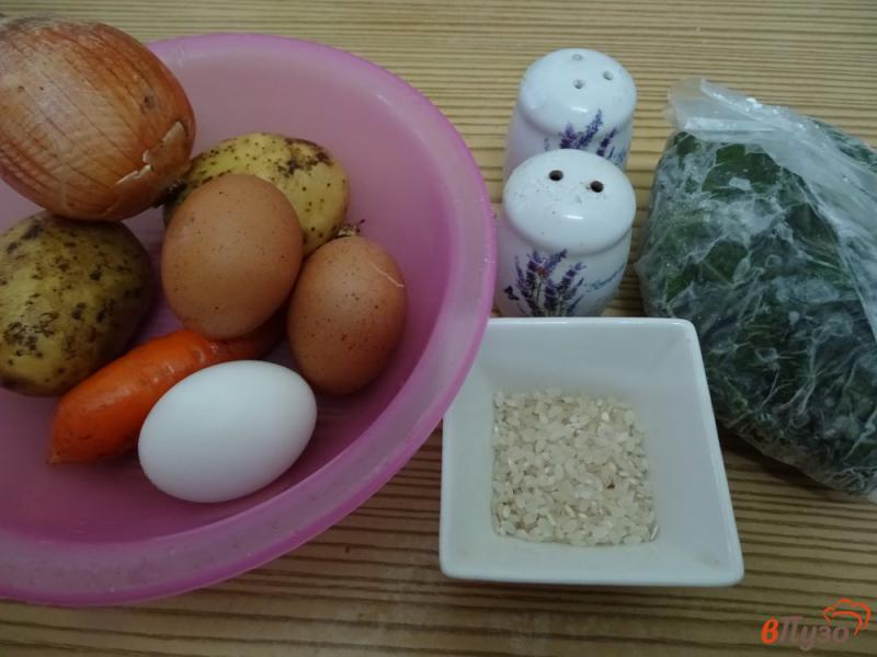 Фото приготовление рецепта: Зелёный борщ с рисом и мороженым щавелем шаг №1