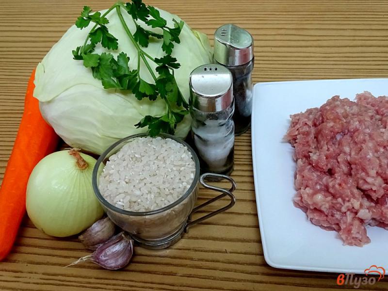 Фото приготовление рецепта: Капуста тушёная с рисом и фаршем шаг №1